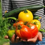 vegetables, gardener, vegetable garden-742095.jpg