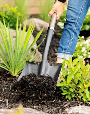 découvrez notre sélection de pelles de qualité, idéales pour tous vos travaux de jardinage, de construction et d'aménagement extérieur. choisissez la pelle qui répond à vos besoins et facilitez vos tâches avec des outils adaptés.