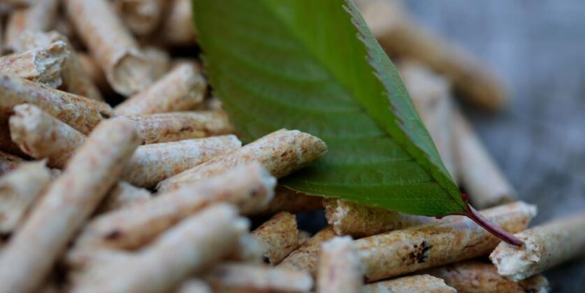 découvrez les avantages du pellet électrique, une solution écologique et économique pour le chauffage. apprenez-en plus sur son fonctionnement, ses performances et comment il peut transformer votre confort domestique.