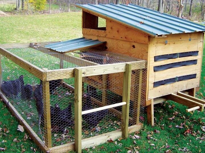 découvrez comment construire un poulailler économique en palette, une solution durable et abordable pour élever vos propres poules. apprenez des astuces pratiques pour créer un espace confortable et sécurisé pour vos volatiles, tout en recyclant des matériaux.
