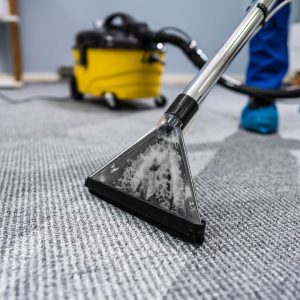 louez une shampouineuse à montpellier en 2025 pour nettoyer facilement tapis, moquettes et sièges auto. réservation rapide, prix attractifs et machines professionnelles adaptées à tous vos besoins de nettoyage.