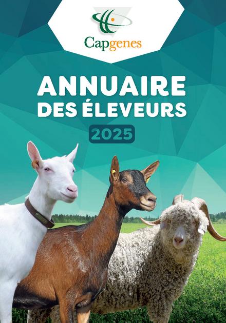 découvrez la location de chèvres en 2025 : une solution écologique pour l’entretien de vos espaces verts, idéale pour particuliers et professionnels. louez facilement des chèvres pour le débroussaillage et profitez d’une méthode naturelle et efficace !