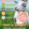 découvrez la location de chèvre en 2025 : une solution écologique et originale pour entretenir vos espaces verts. réservez facilement votre chèvre pour le débroussaillage ou des animations ludiques près de chez vous !