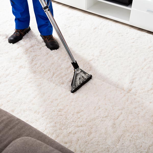 confiez le nettoyage de vos tapis à nice en 2025 à des professionnels ! solutions efficaces, écologiques et rapides pour redonner éclat et propreté à tous types de tapis. obtenez un devis gratuit dès maintenant.