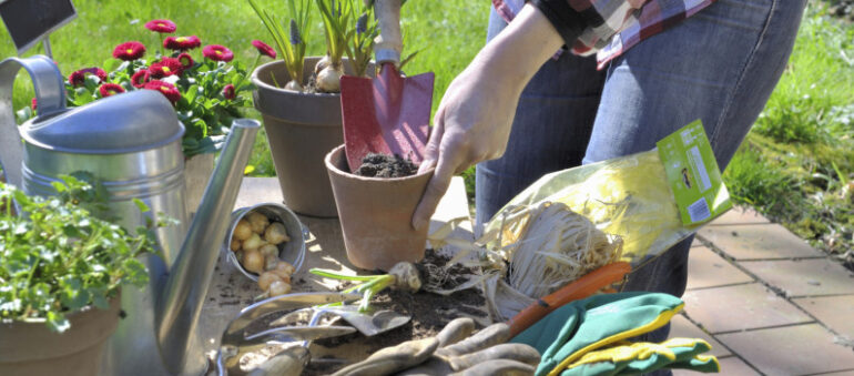 découvrez les meilleurs outils de jardinage 2025 pour entretenir facilement votre jardin. profitez de conseils, nouveautés et comparatifs pour choisir l'équipement adapté à vos besoins !