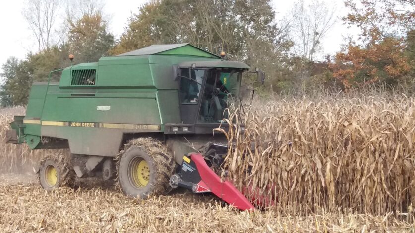 découvrez nos services de location de matériel à sélestat en 2025. profitez d'une large gamme d'équipements adaptés à tous vos besoins, avec des tarifs compétitifs et un service de qualité.