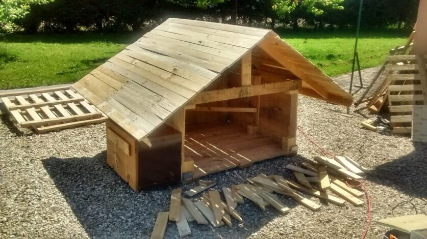 découvrez comment fabriquer un poulailler en palette pour 2 poules, économique et écologique, idéal pour un petit élevage à la maison.