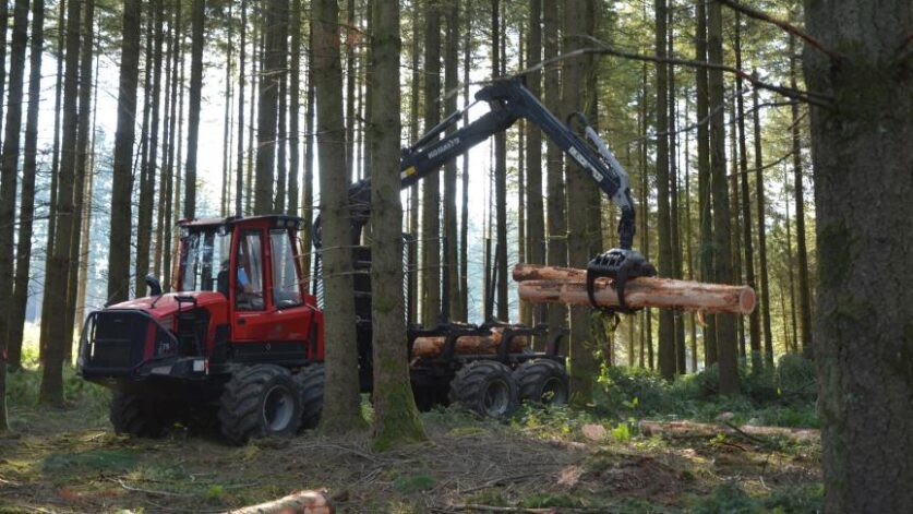 découvrez le tarif horaire pour fendre du bois en 2025. obtenez des informations à jour pour planifier vos travaux de manière efficace et économique.