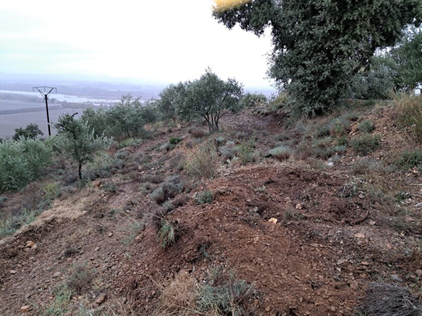 découvrez comment aménager et exploiter un terrain accidenté en toute sécurité, avec des conseils pratiques pour optimiser son utilisation et valoriser votre propriété.